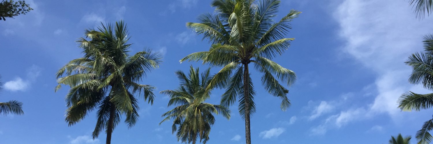 scottmellor_'s profile banner image