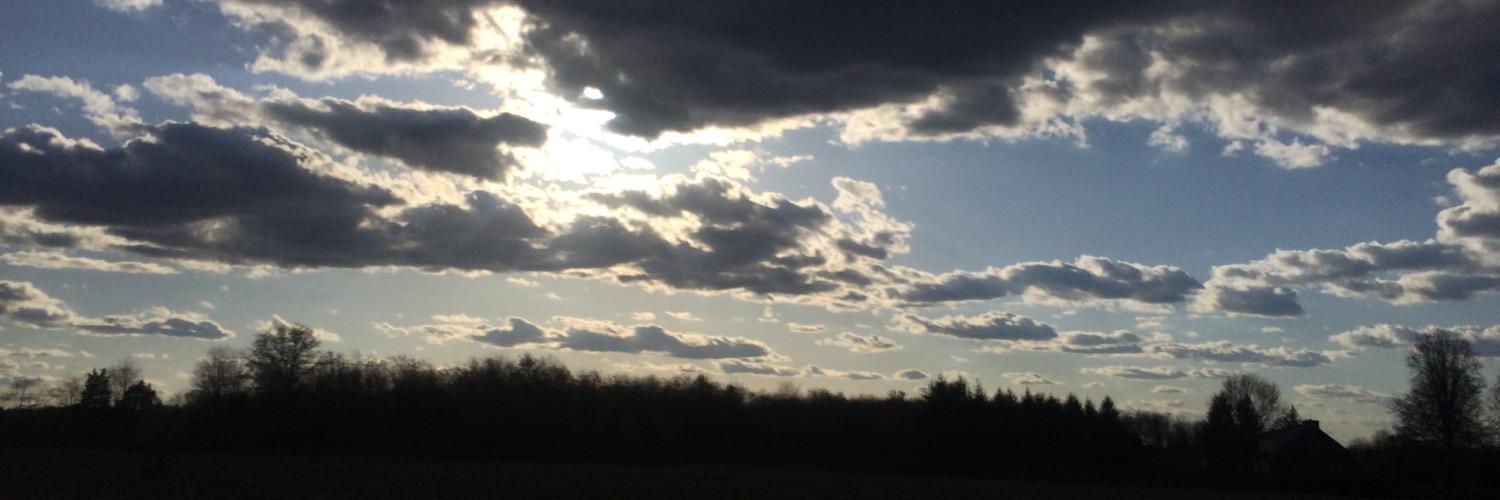 steve_elsner's profile banner image