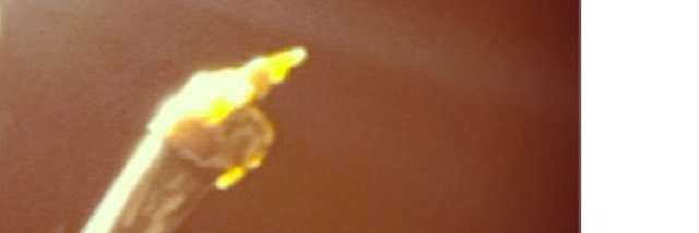 LipBalmmmm's profile banner image