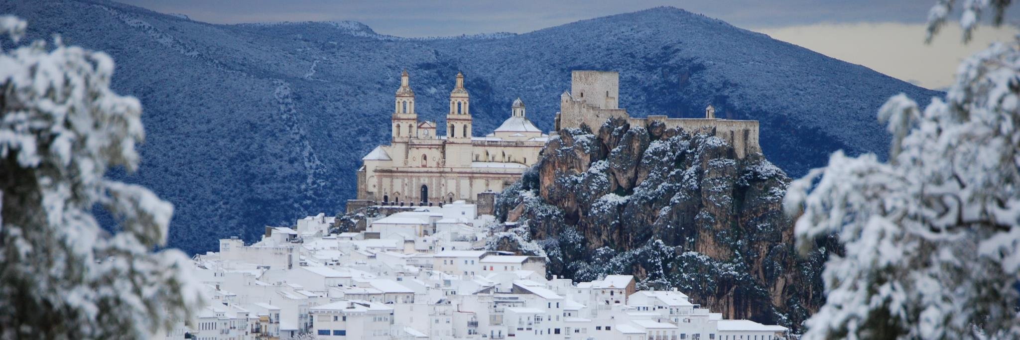 Francisco Olid banner