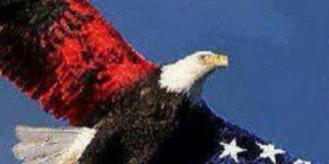 RAlbanian's profile banner image