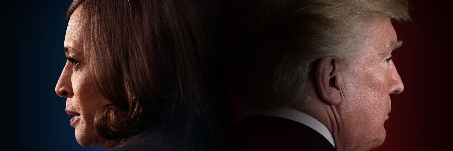 Sneezzingdog's profile banner image