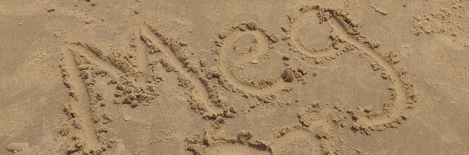 Meg_Menely's profile banner image