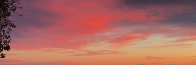 mmerinss's profile banner image
