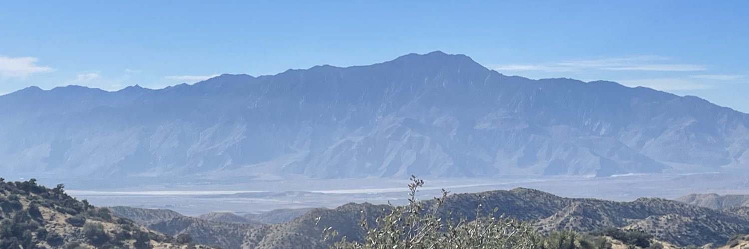 vivalaebo's profile banner image