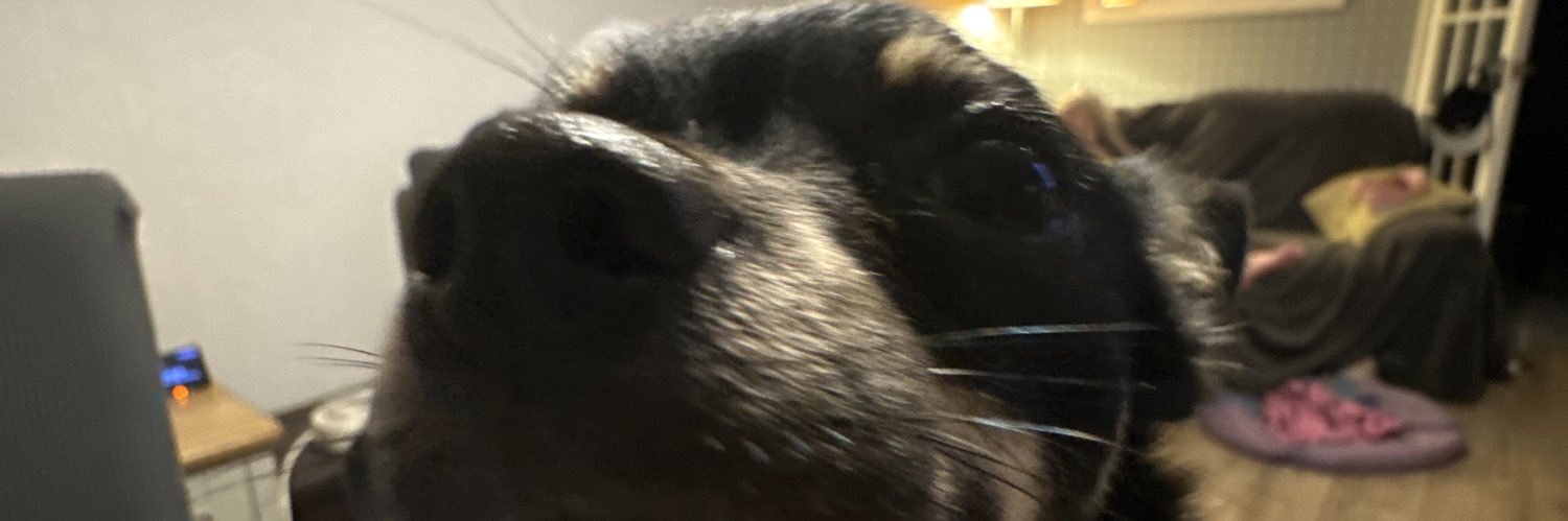 Brandon Patrick banner