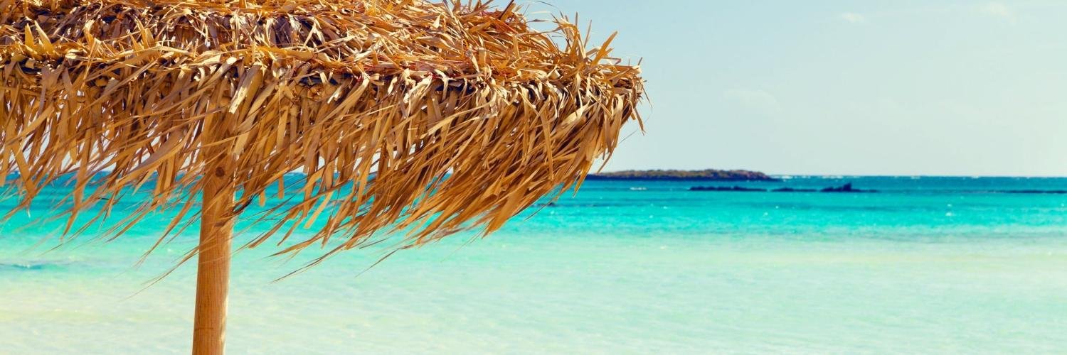 tinbeca's profile banner image
