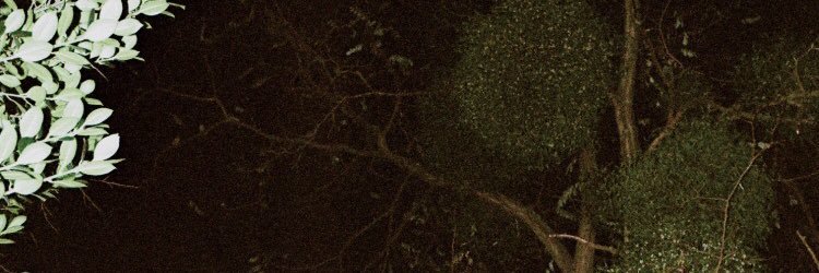cuzulike's profile banner image