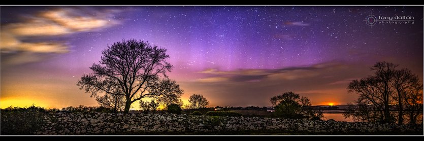 Tony Dalton Photography banner