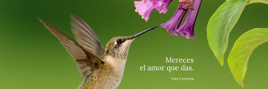 Vivi Cervera ☘️ banner