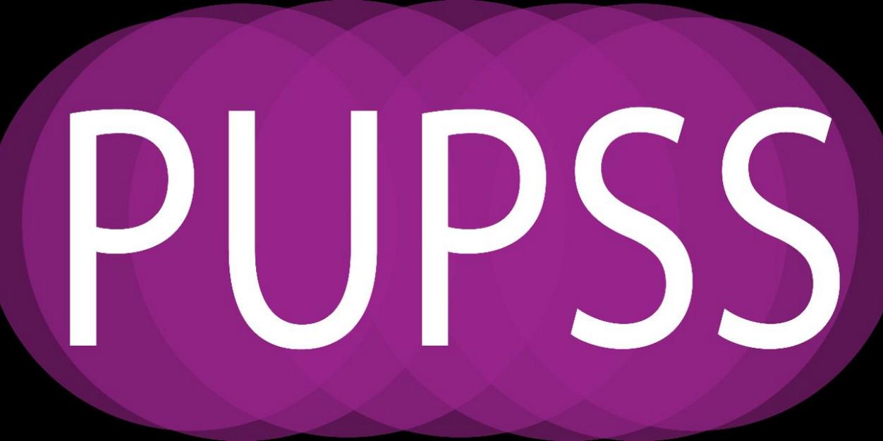 _PUPSS's profile banner image
