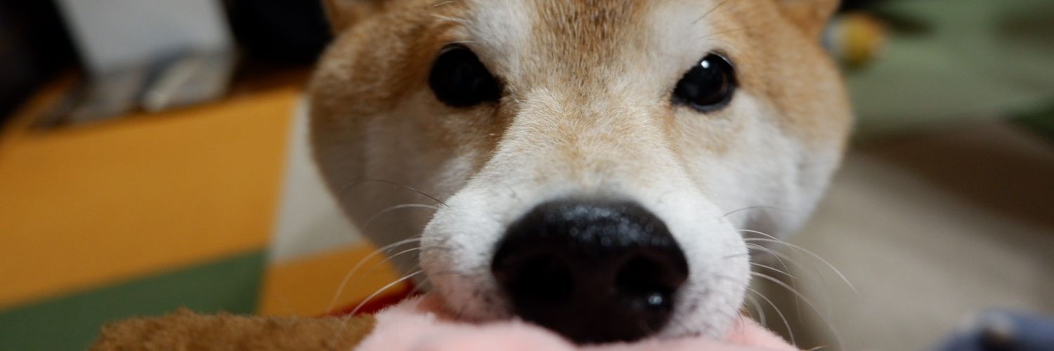 dantyo_oh's profile banner image