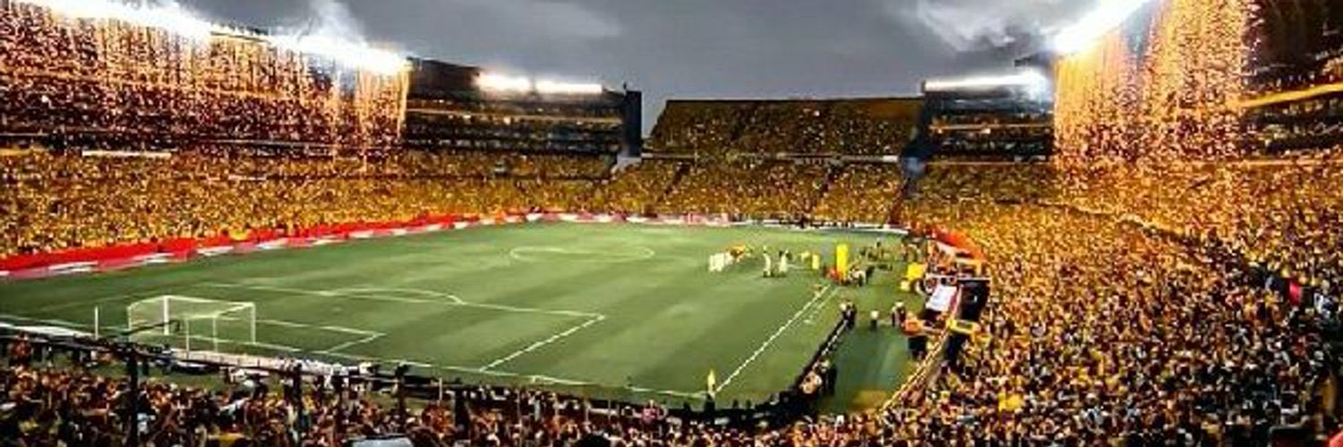 Carlosstrasser2's profile banner image