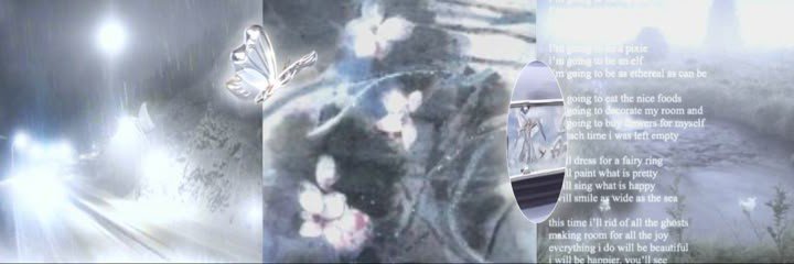 RemnantsXINYU's profile banner image