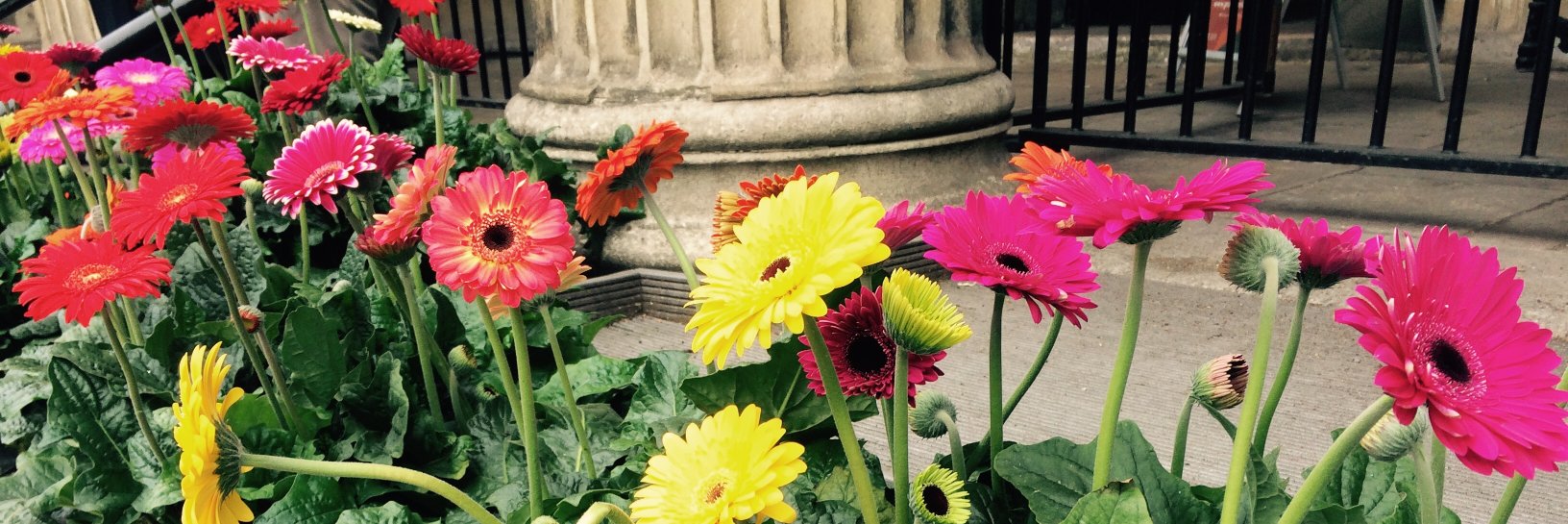 carlottof's profile banner image
