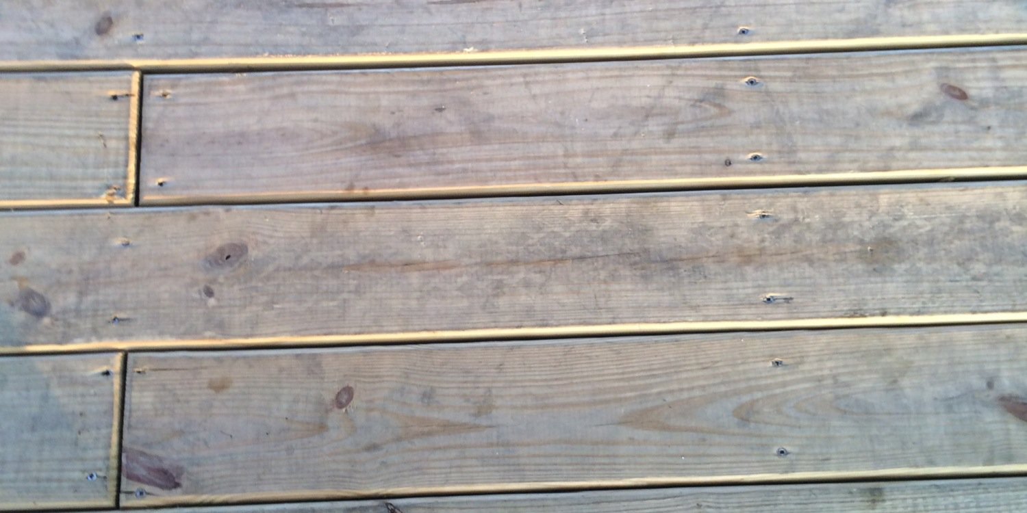 Alleigh Wiggs banner