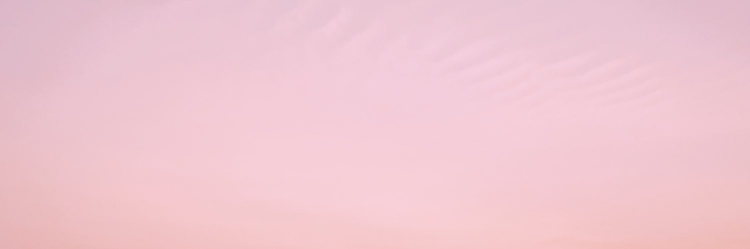 StephTondy's profile banner image