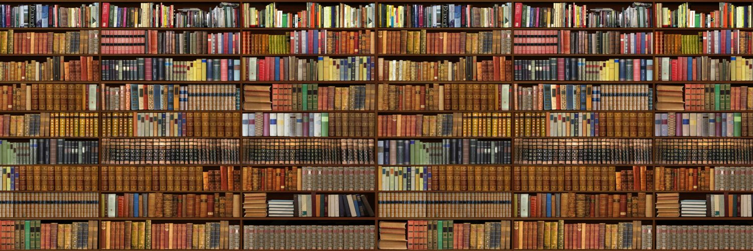 pizitzlibrary's profile banner image