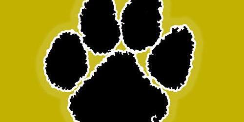 Charleston Tiger Football's banner