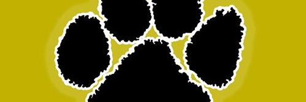 tiger_fb Profile Banner