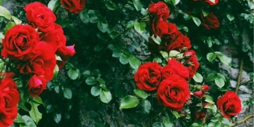 xPaigeHB's profile banner image