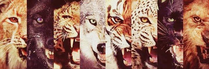 LaamDja's profile banner image