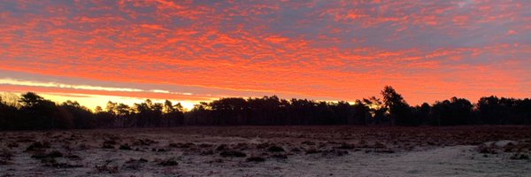 KateVMStanton Profile Banner