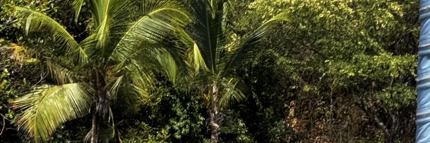 kingchantel's profile banner image