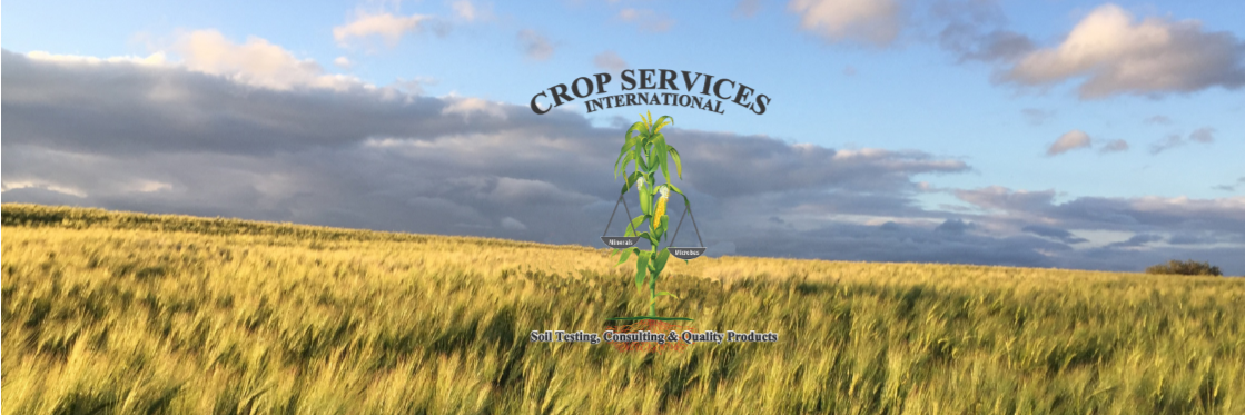 CropIntl's profile banner image