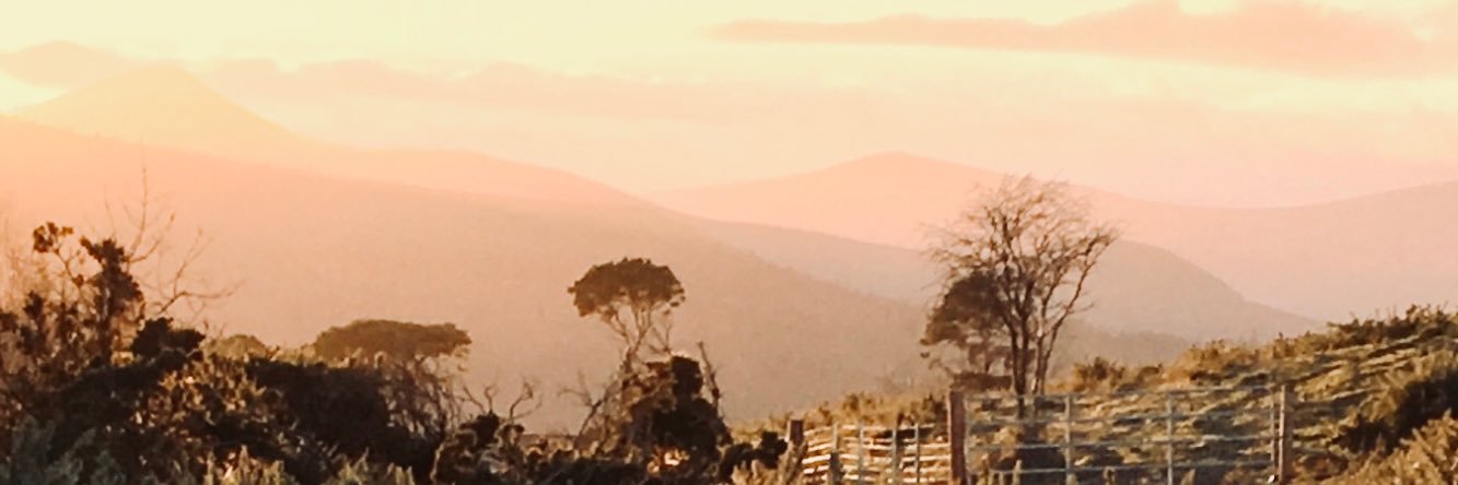 rua_ri's profile banner image