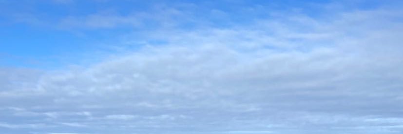 Mameelicious_'s profile banner image