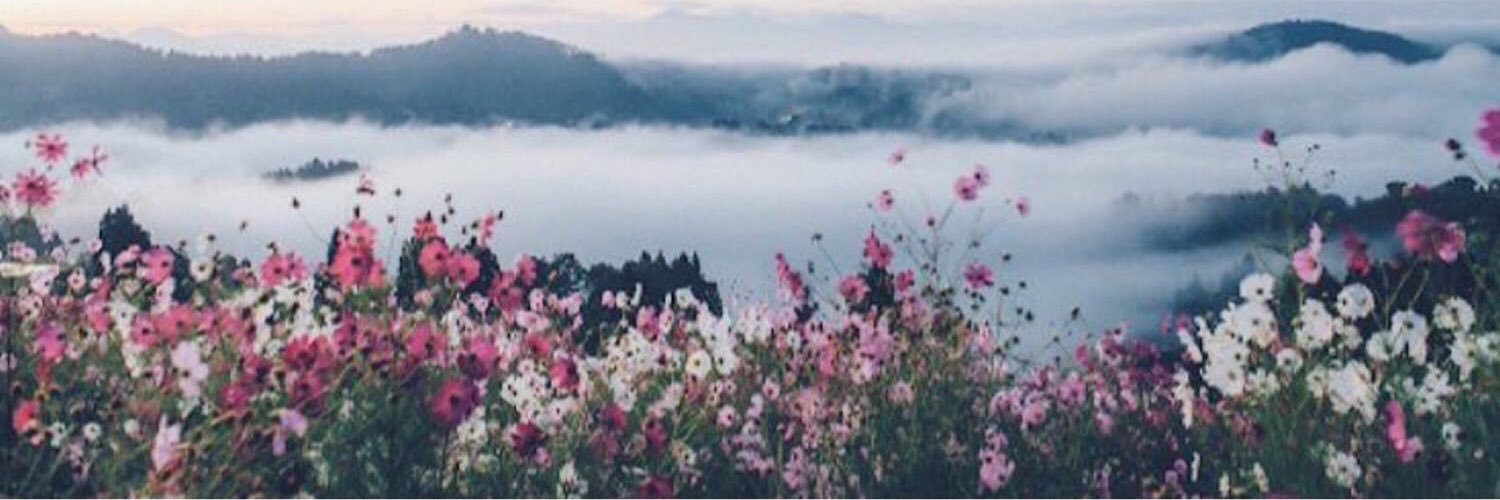 0095AAAA's profile banner image