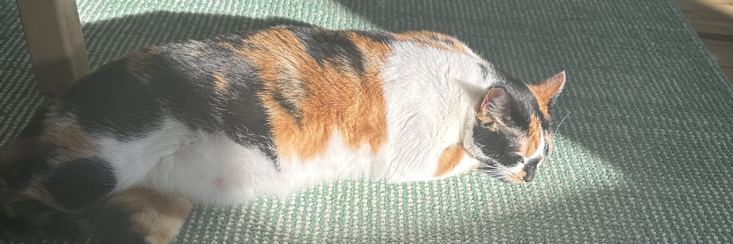 Kellyjustsaid's profile banner image