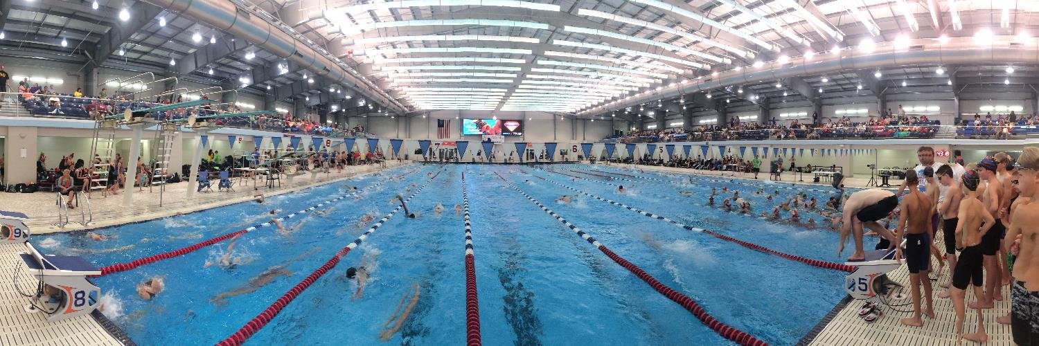 Michigan Swimming banner