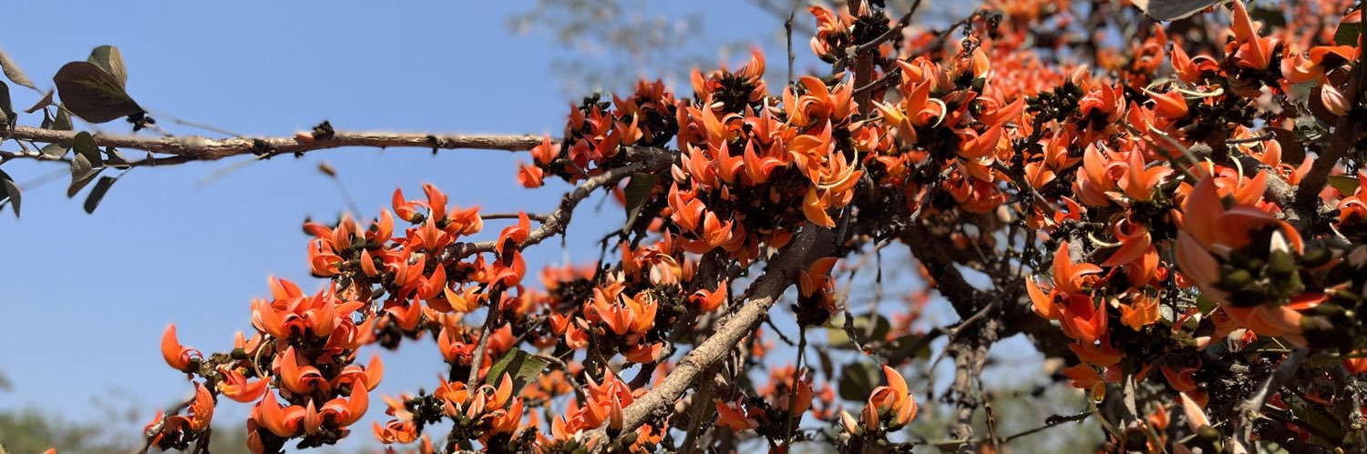 Poulomi Biswas banner