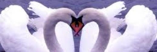 Swan Wheathampstead banner