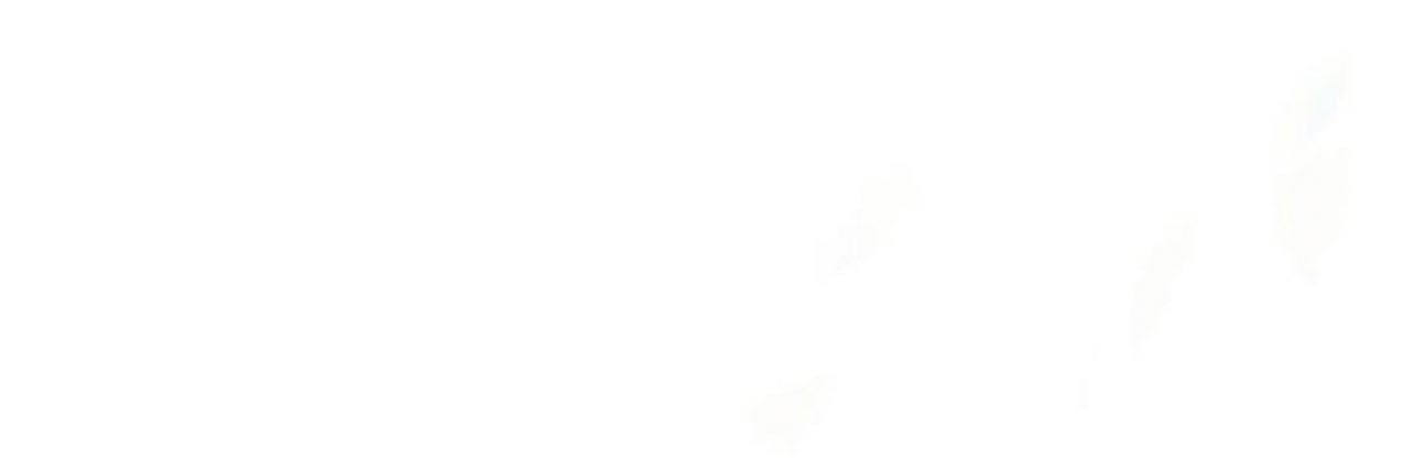 apollobutay's profile banner image
