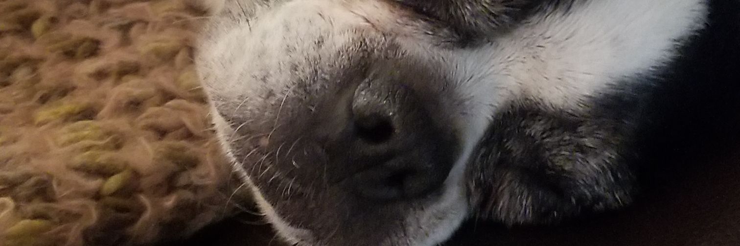 MikeFriendt's profile banner image