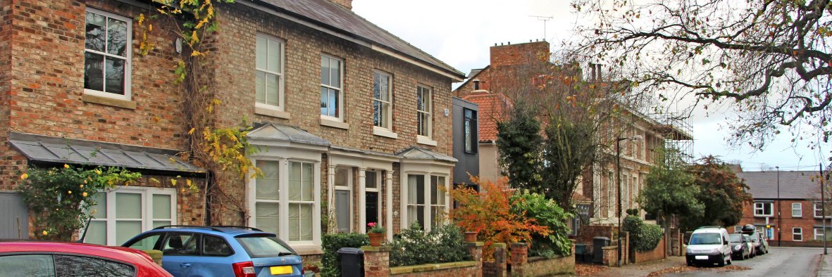 Ruth Donnelly banner