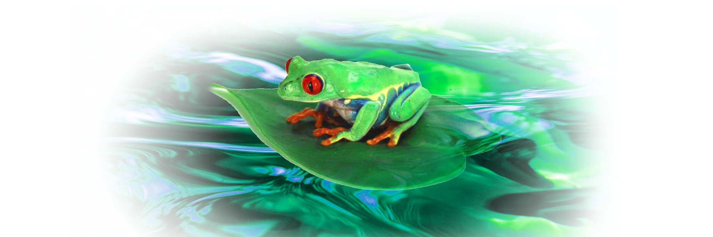 Mutodi Neshehe banner