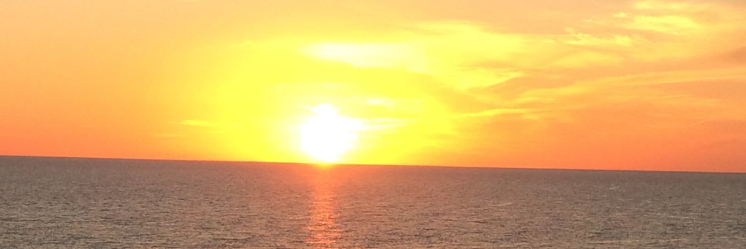 𝓙𝓸𝓵𝓲 𝓑𝓻𝓸𝔀𝓷 banner