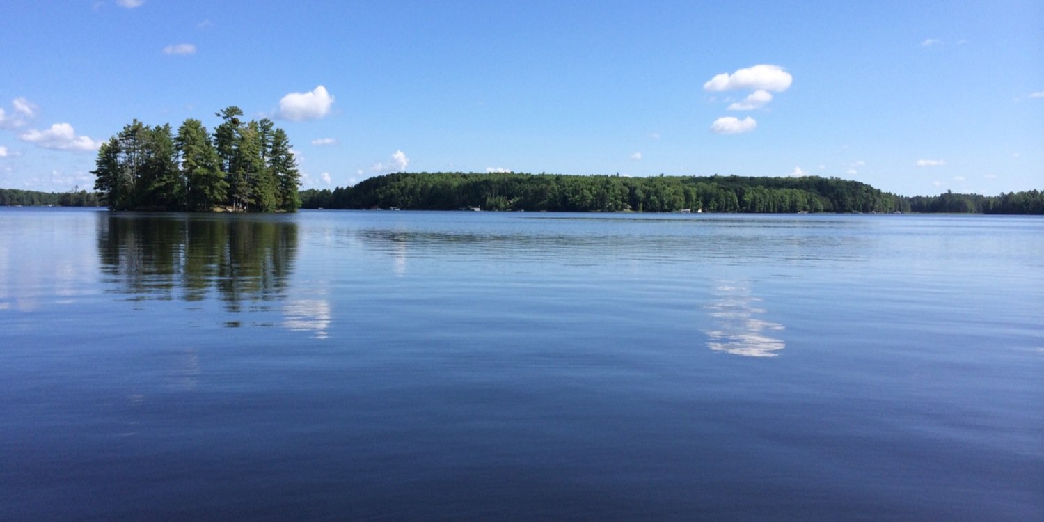 Will Christophersen banner