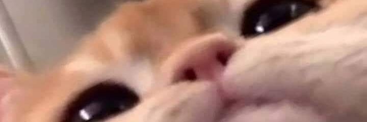 baizabal55's profile banner image