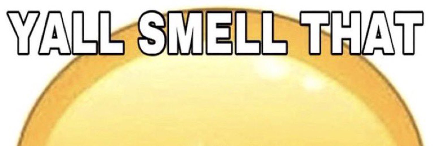 stein banner