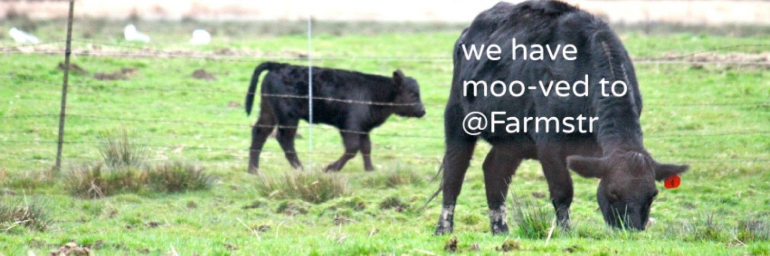 TheFarmstrs's profile banner image