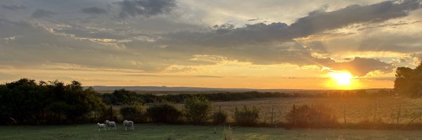 Paratus2014 Profile Banner