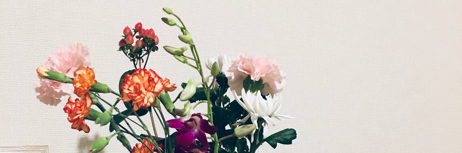 baccchiii3's profile banner image