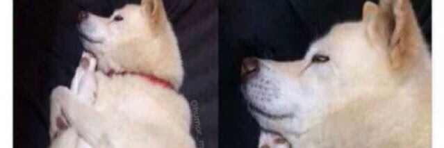 ShitBruh's profile banner image