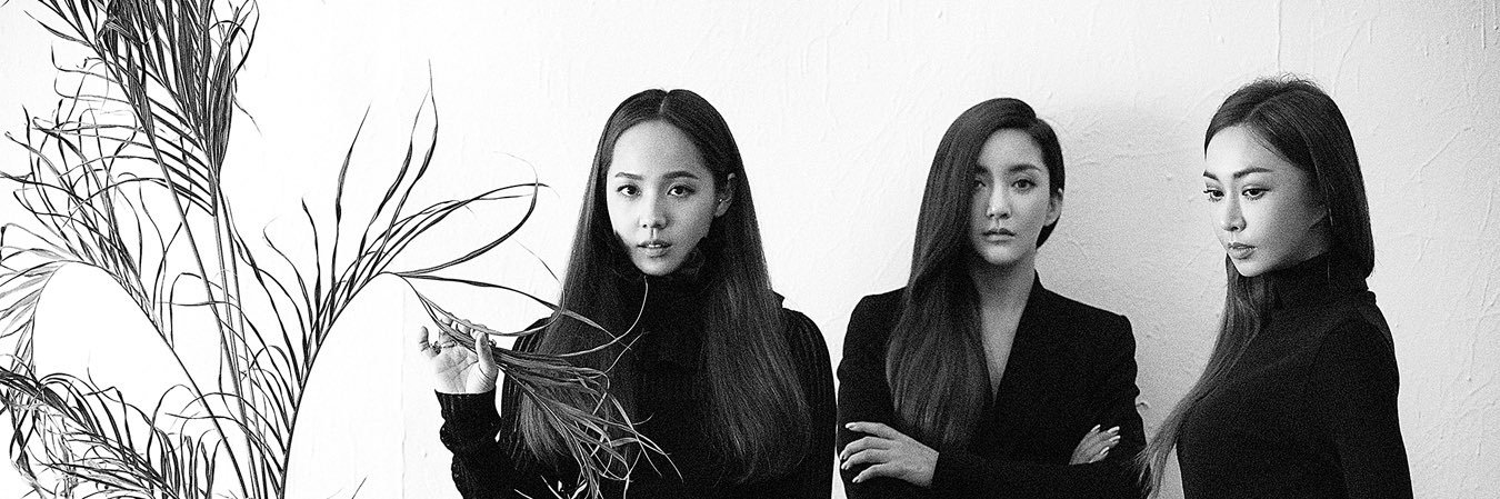 AllAboutSES's profile banner image
