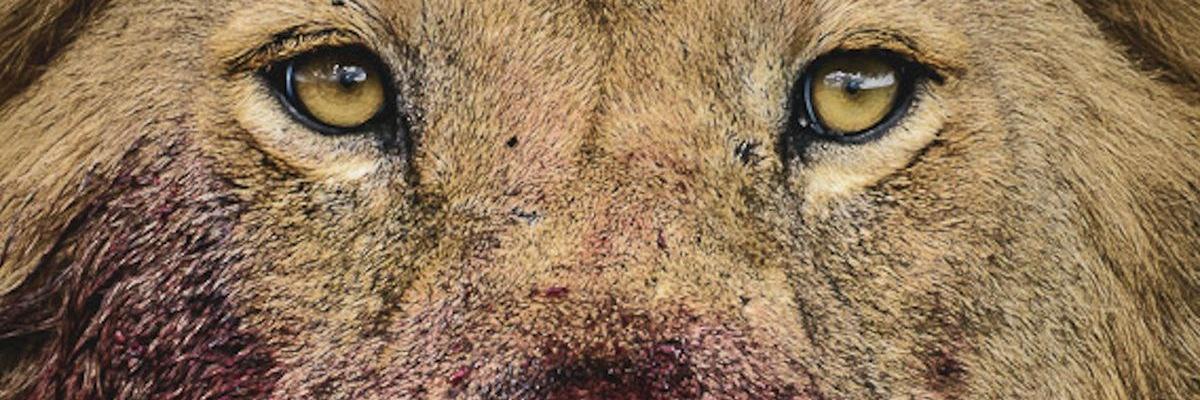 darktanman's profile banner image
